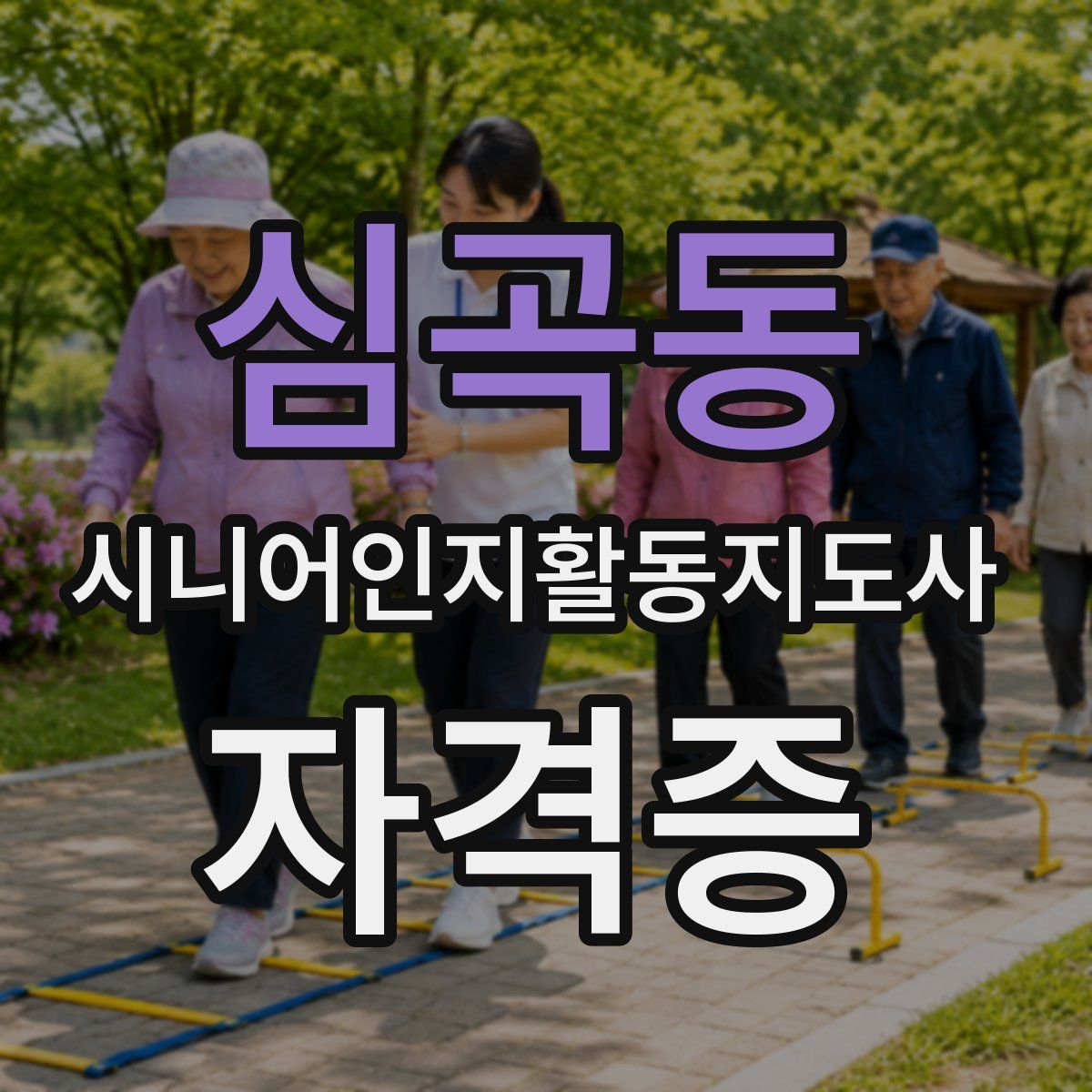 심곡동 시니어인지활동지도사 자격증
