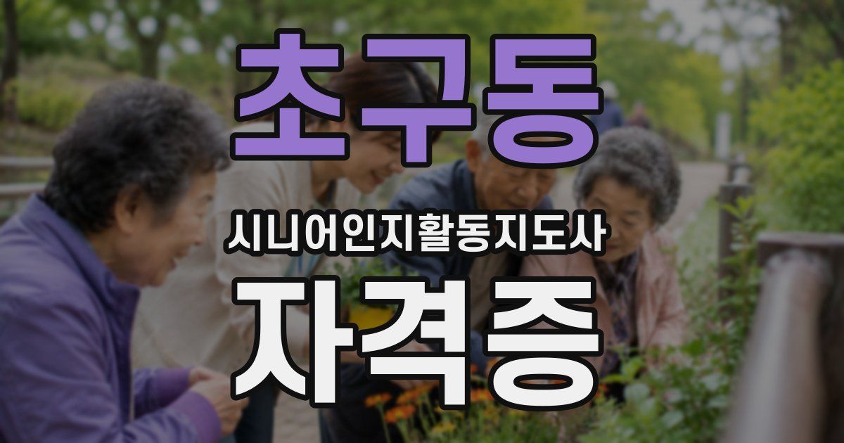 초구동 시니어인지활동지도사 자격증
