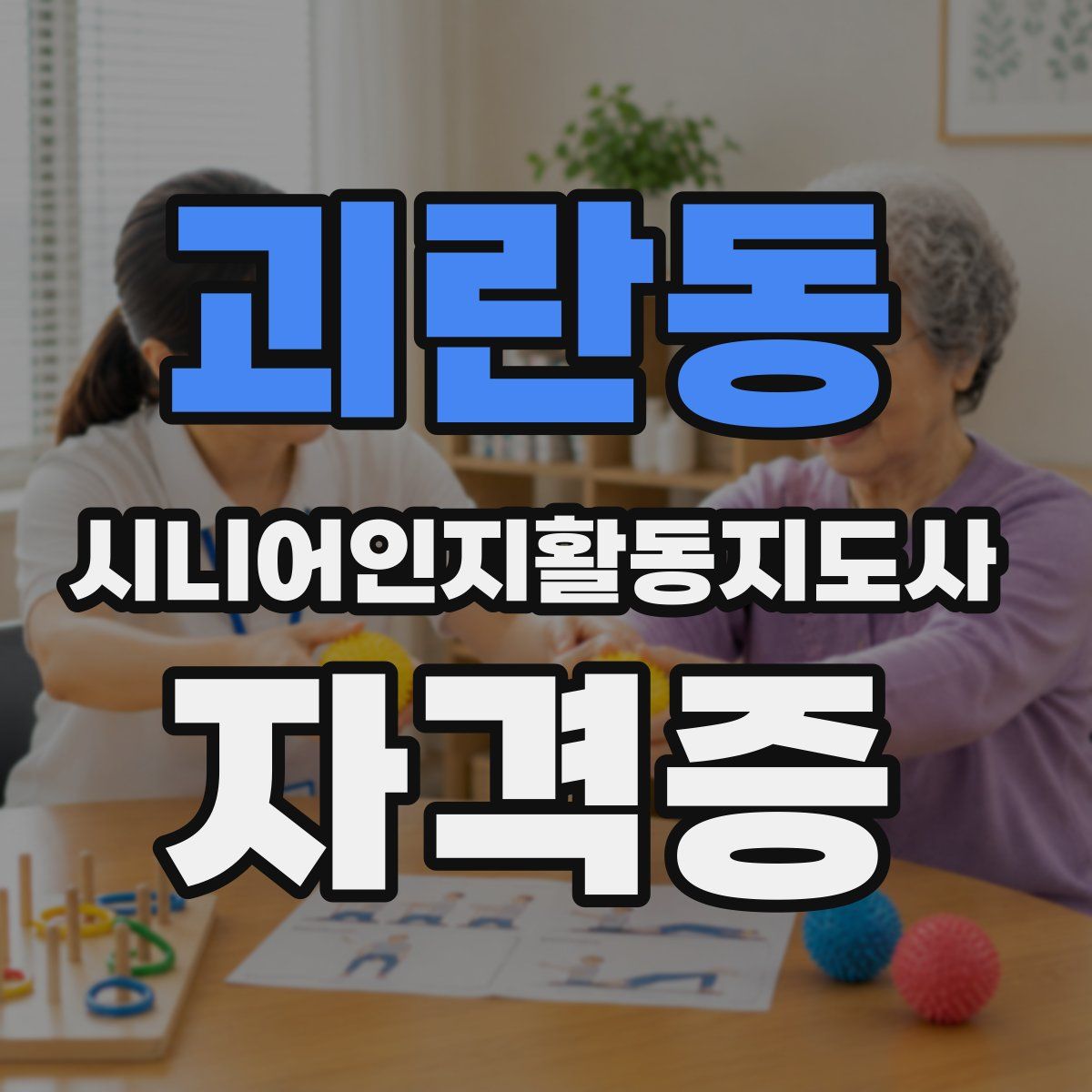 괴란동 시니어인지활동지도사 자격증