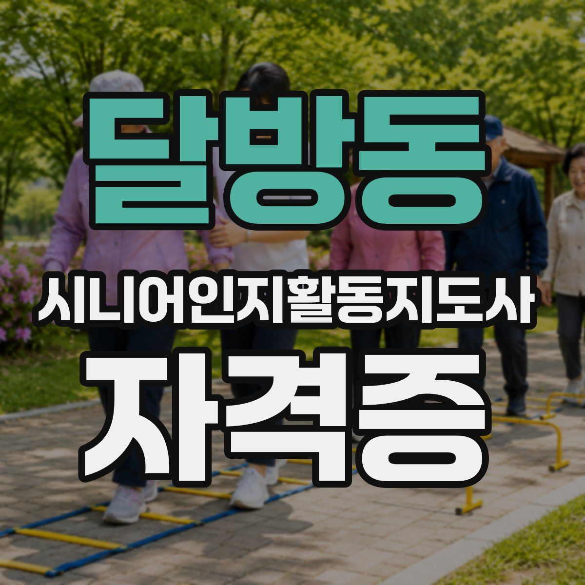 달방동 시니어인지활동지도사 자격증