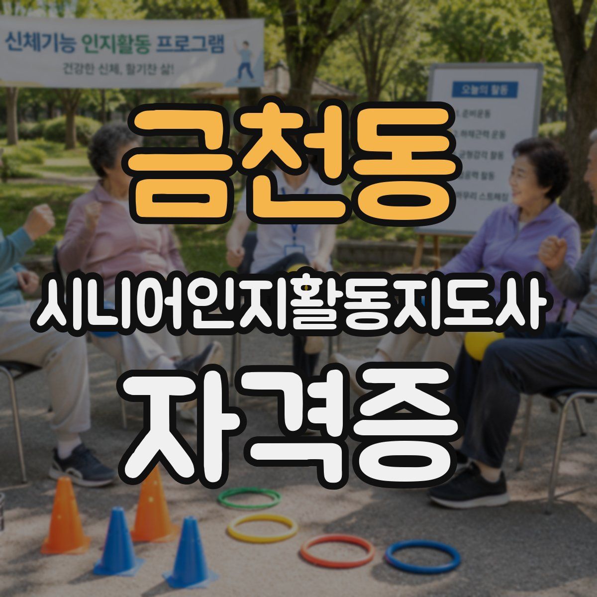 금천동 시니어인지활동지도사 자격증