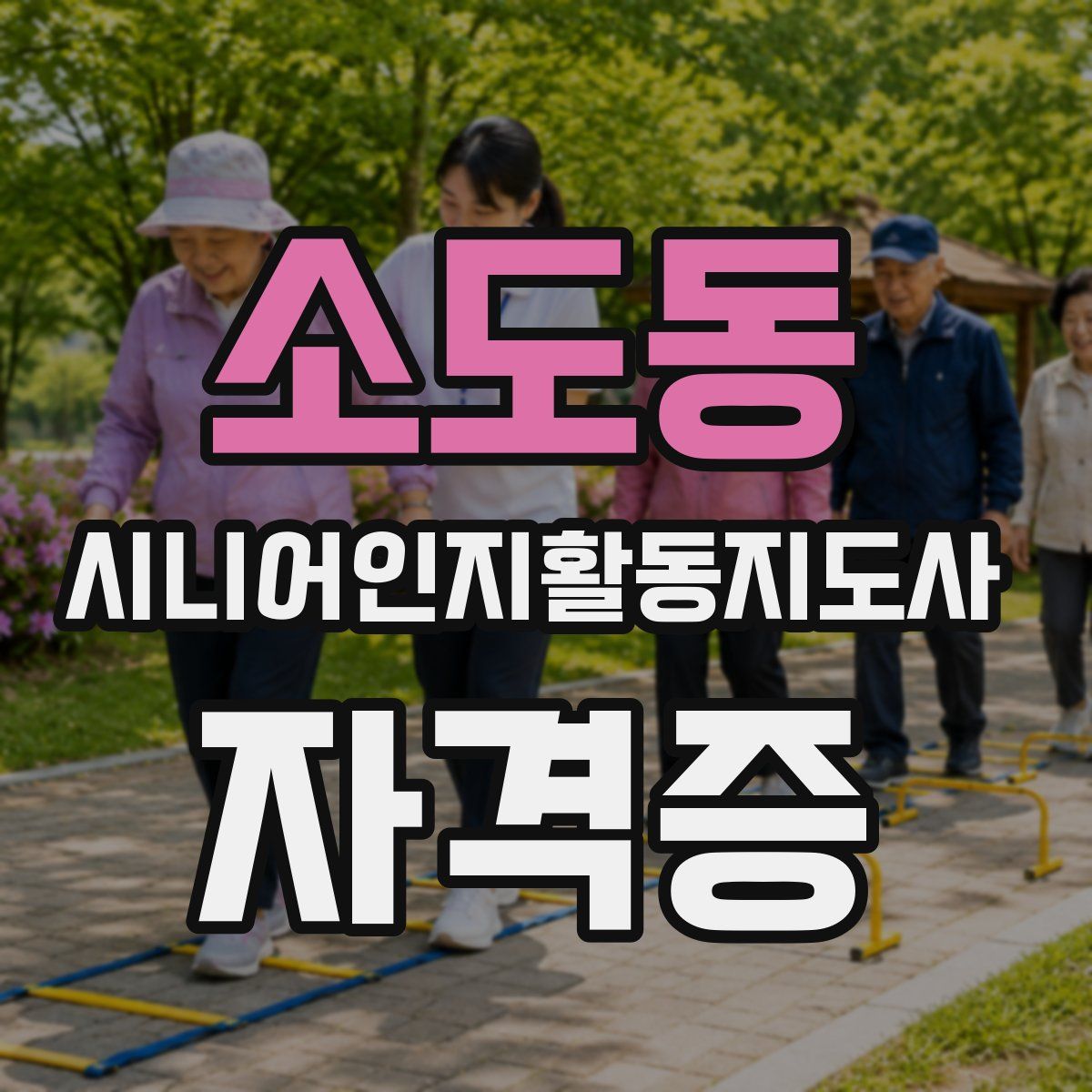 소도동 시니어인지활동지도사 자격증