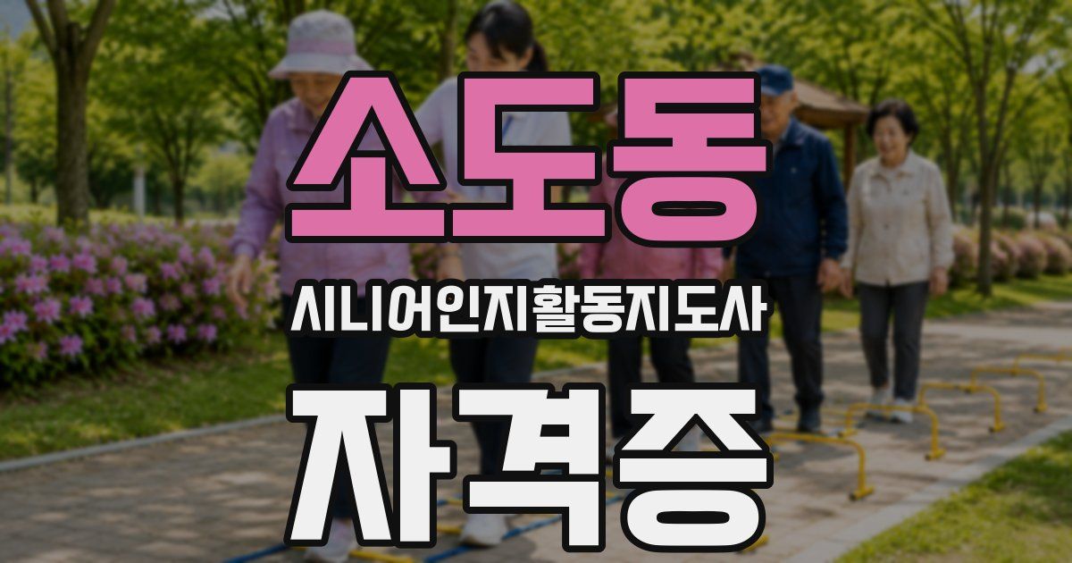 소도동 시니어인지활동지도사 자격증