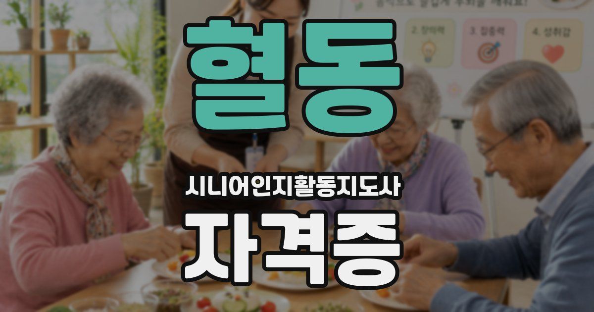 혈동 시니어인지활동지도사 자격증