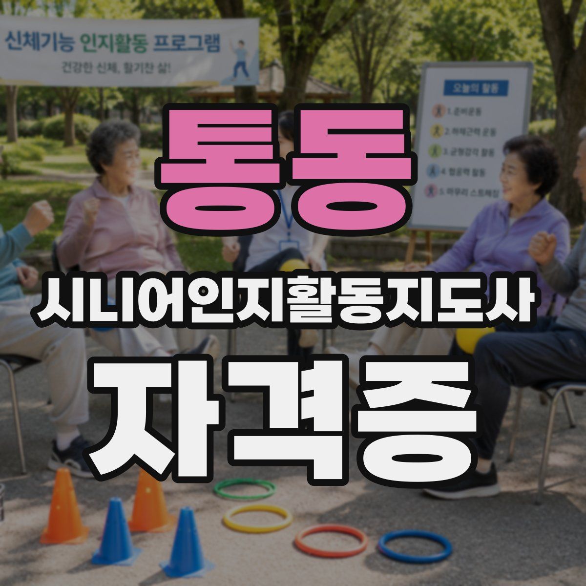 통동 시니어인지활동지도사 자격증