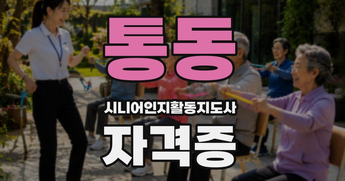 통동 시니어인지활동지도사 자격증