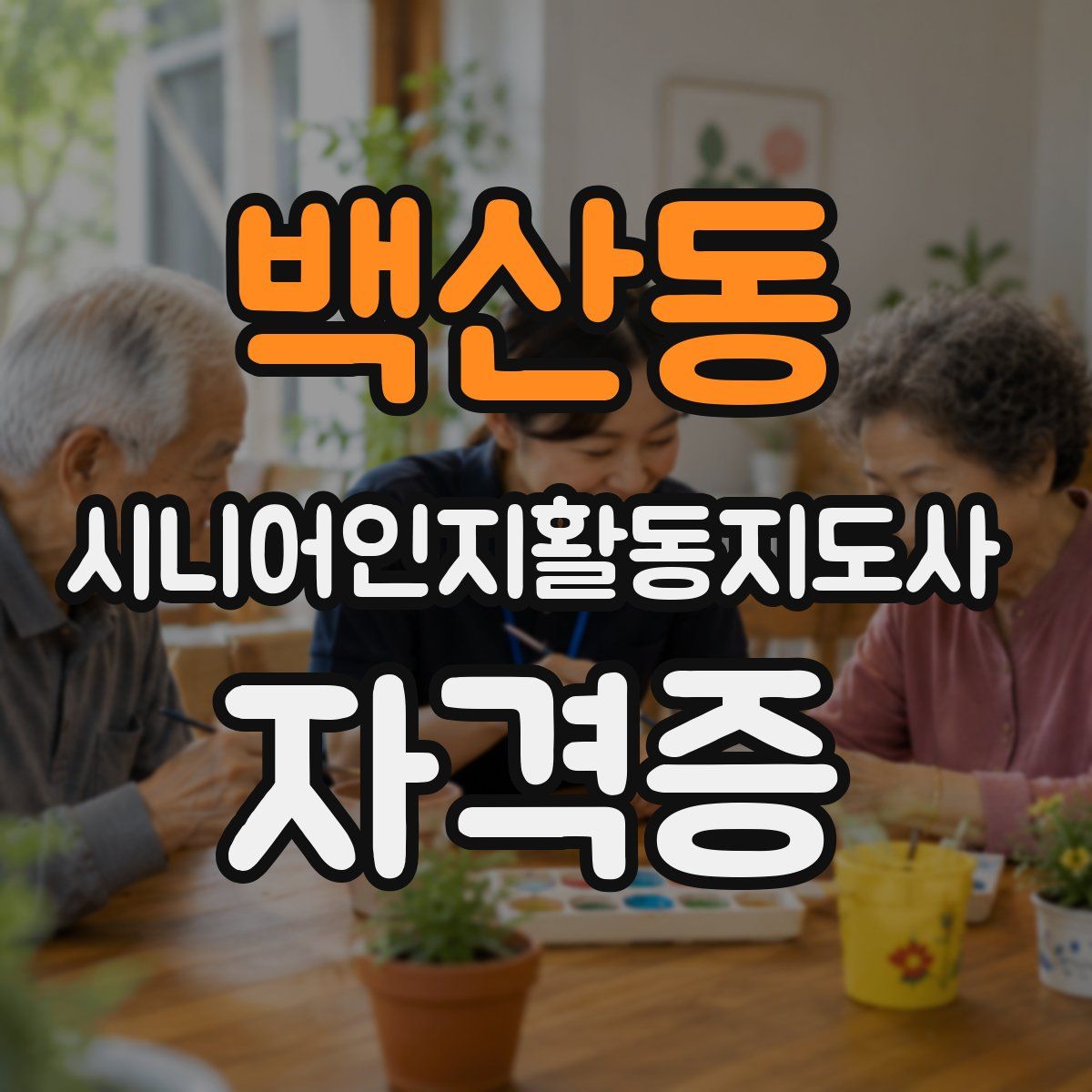백산동 시니어인지활동지도사 자격증