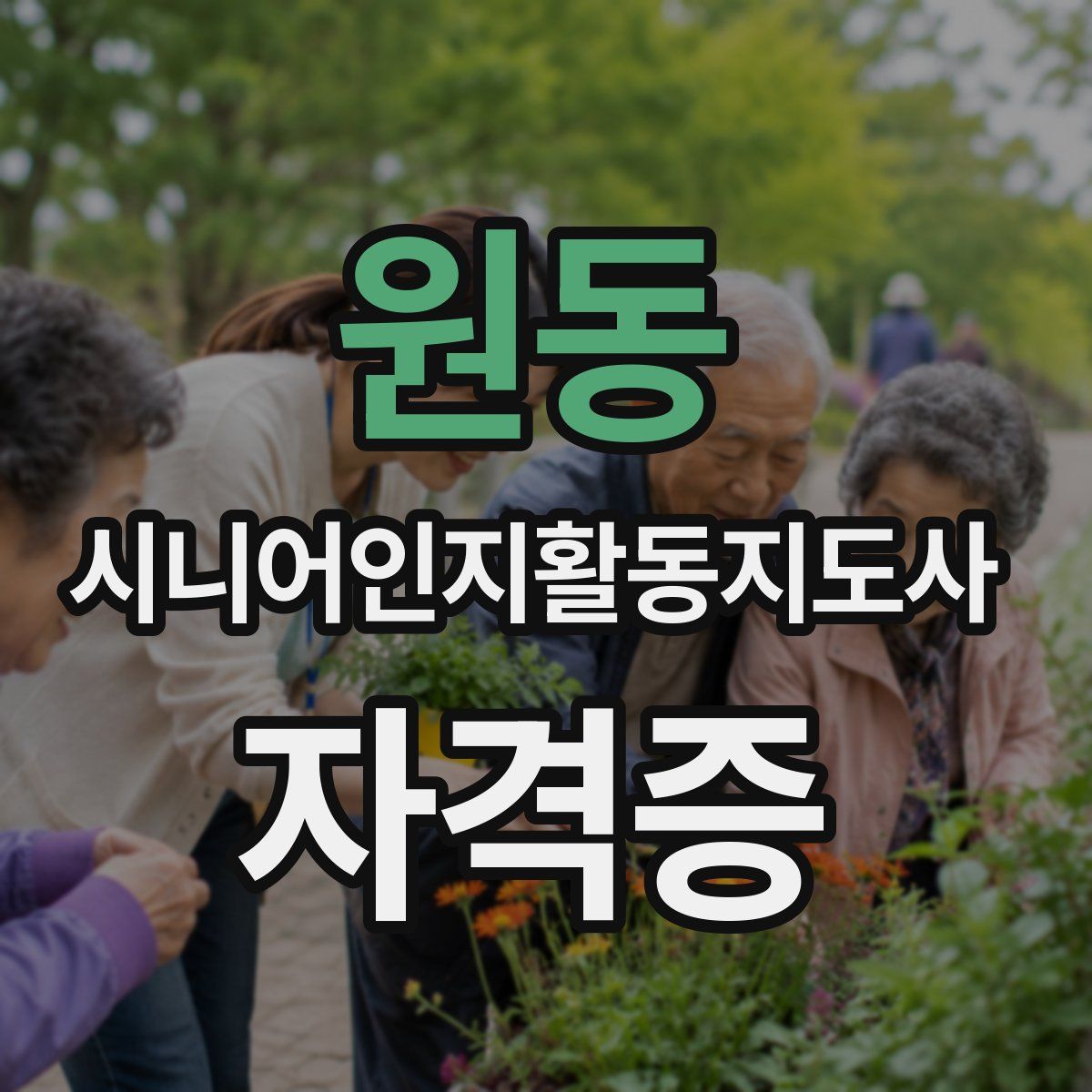원동 시니어인지활동지도사 자격증