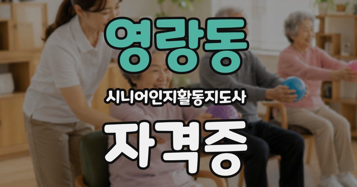 영랑동 시니어인지활동지도사 자격증