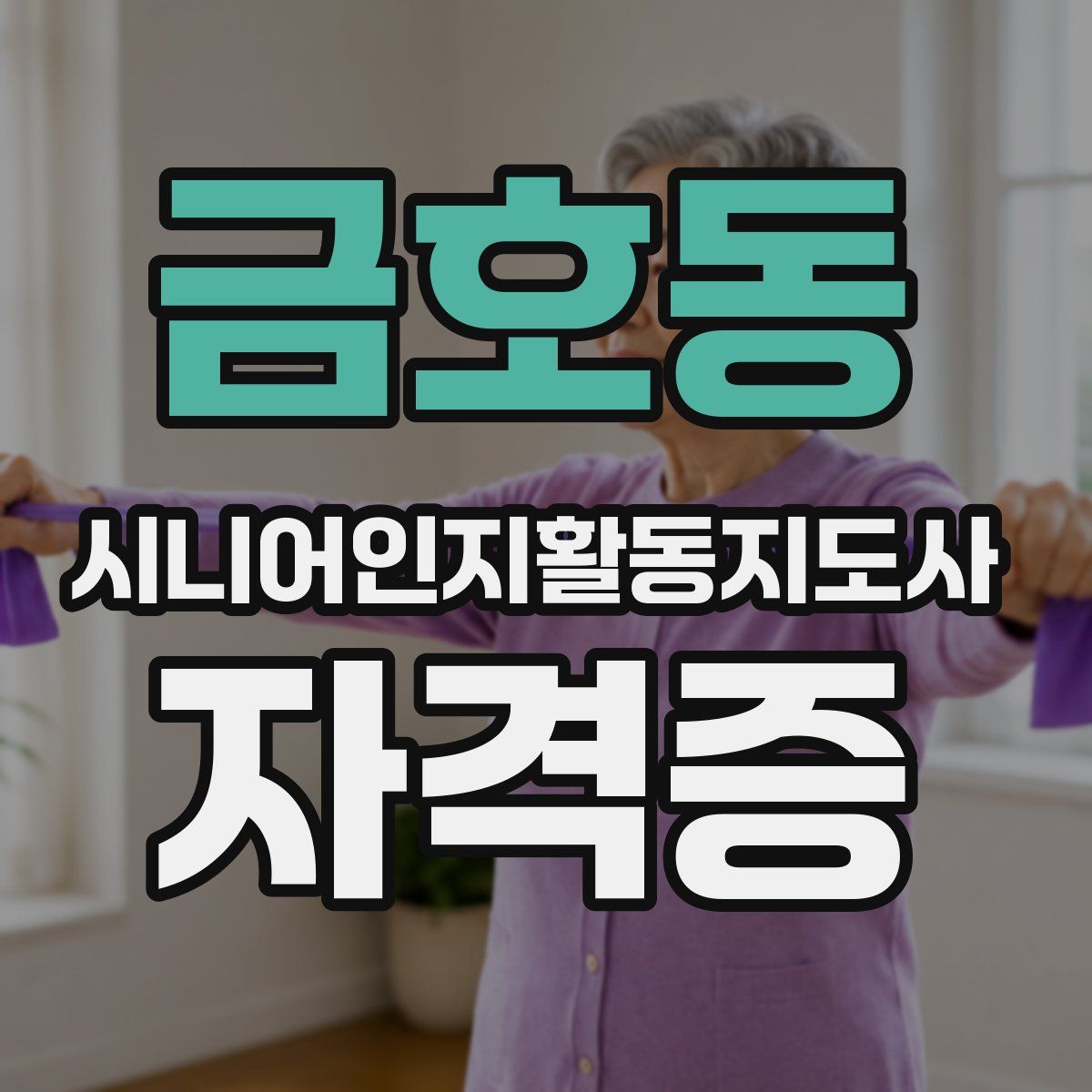 금호동 시니어인지활동지도사 자격증