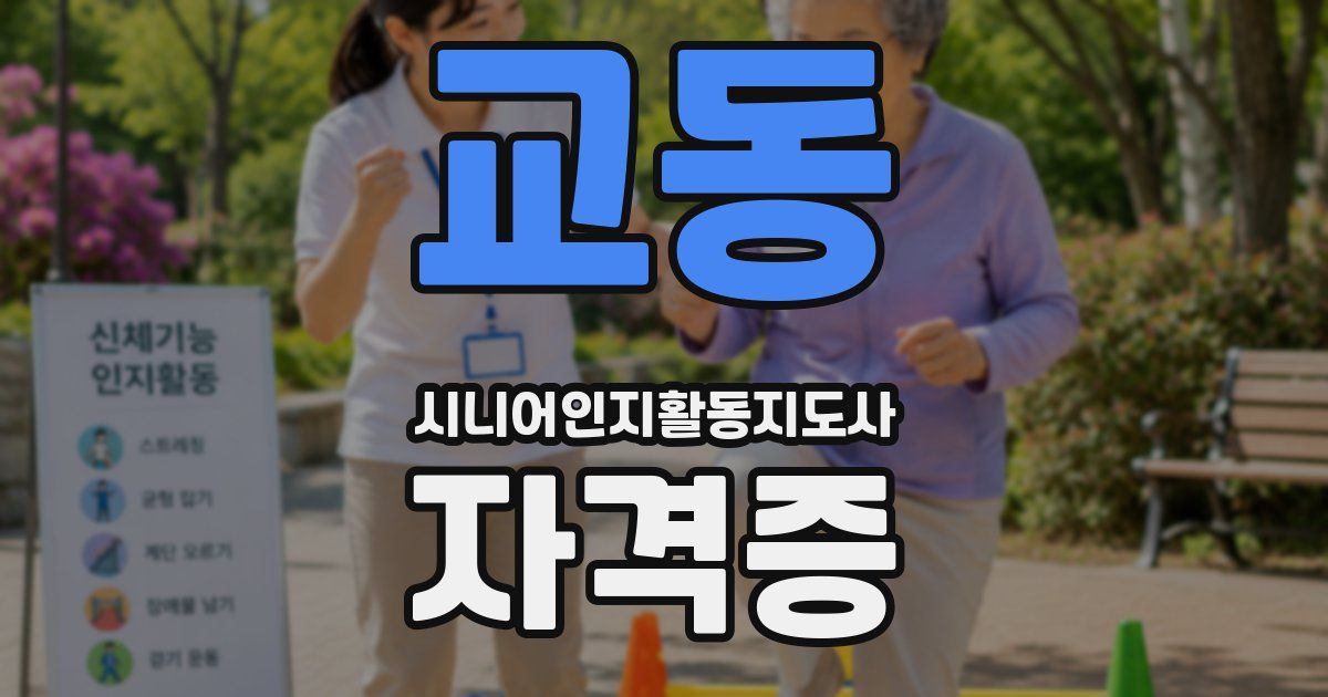 교동 시니어인지활동지도사 자격증