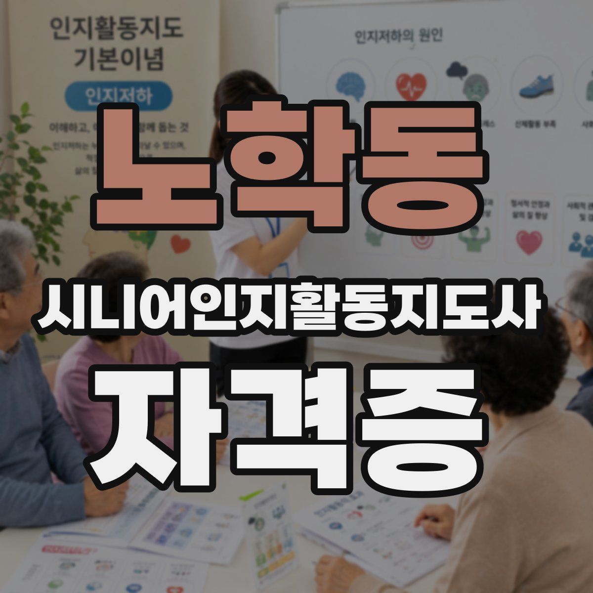 노학동 시니어인지활동지도사 자격증
