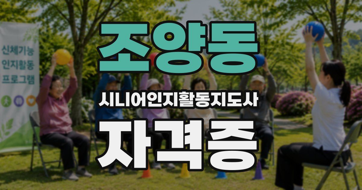 조양동 시니어인지활동지도사 자격증