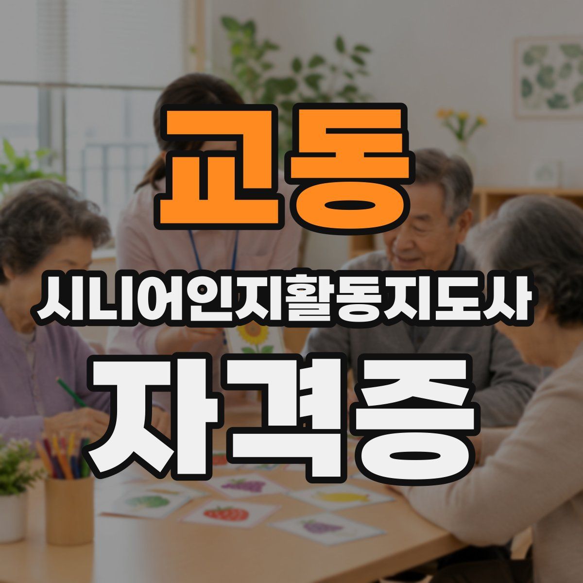 교동 시니어인지활동지도사 자격증