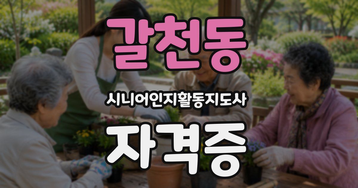 갈천동 시니어인지활동지도사 자격증