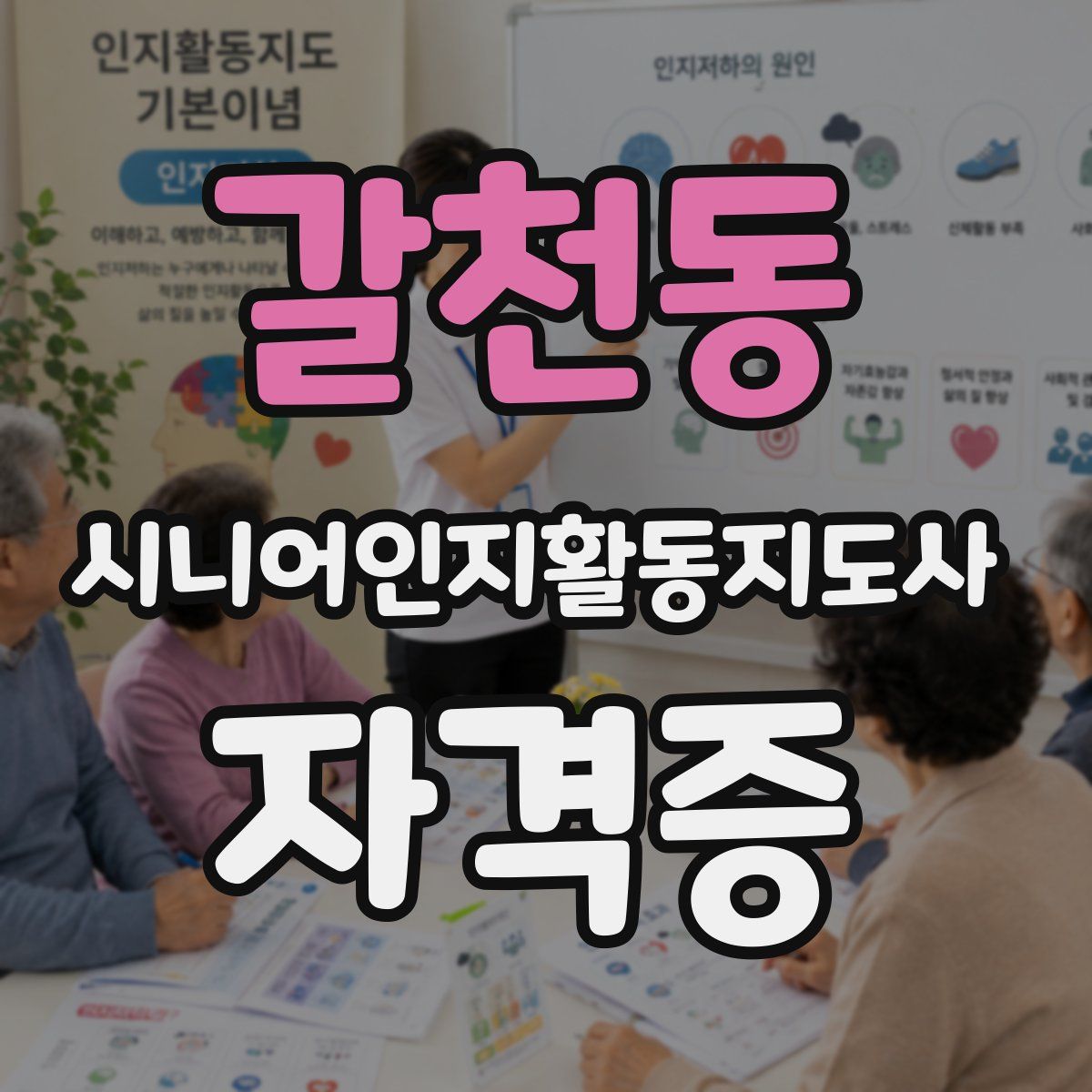 갈천동 시니어인지활동지도사 자격증