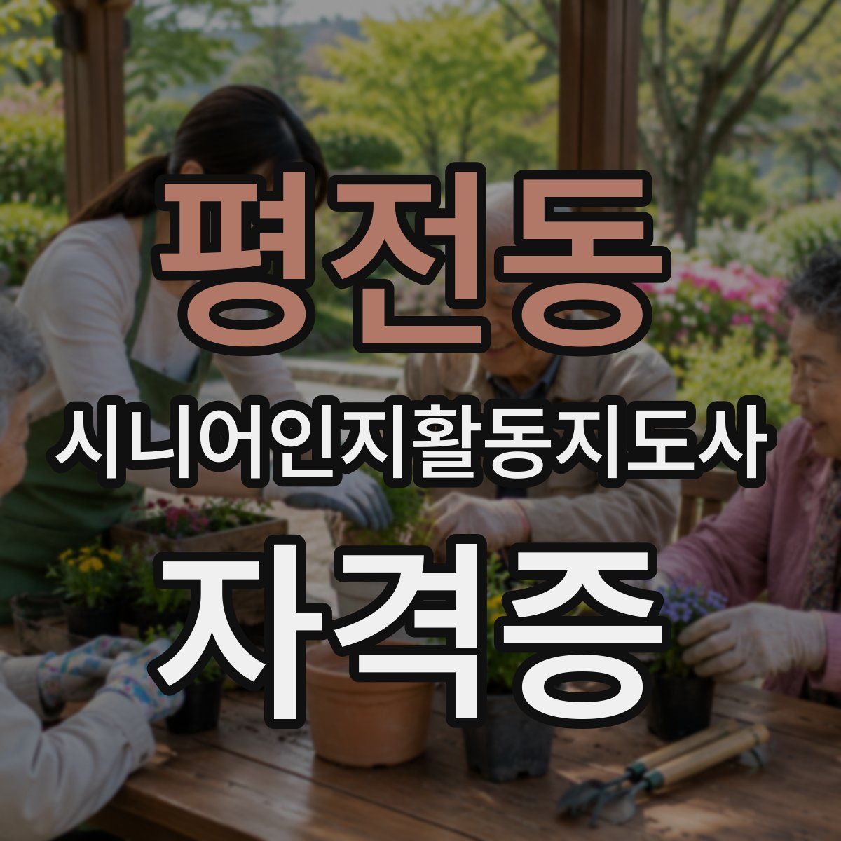 평전동 시니어인지활동지도사 자격증