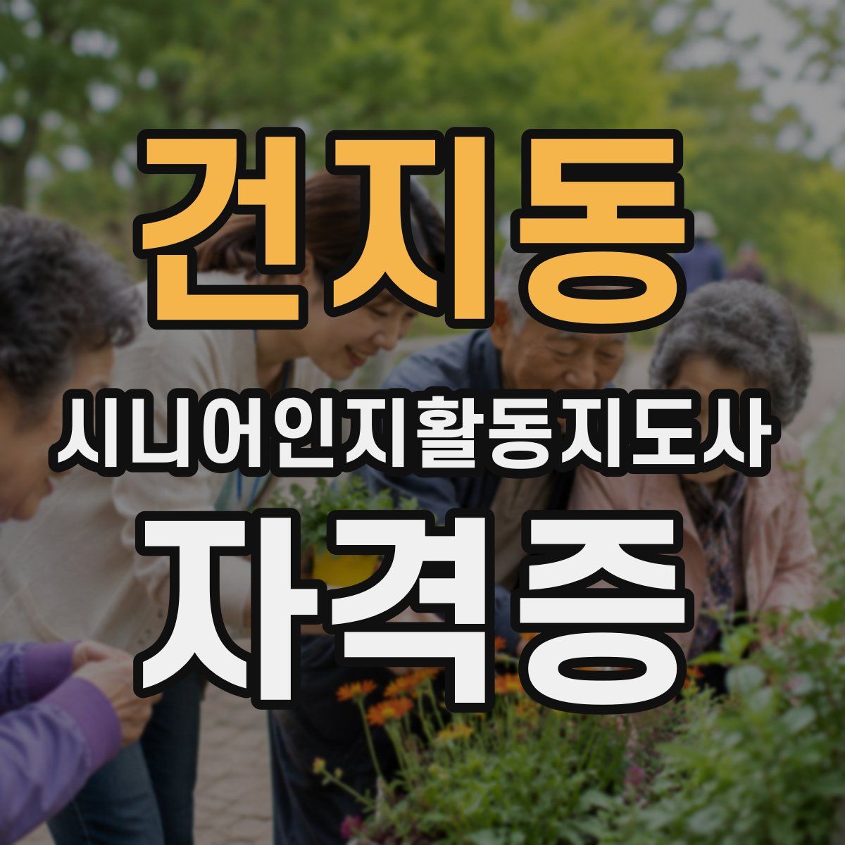 건지동 시니어인지활동지도사 자격증