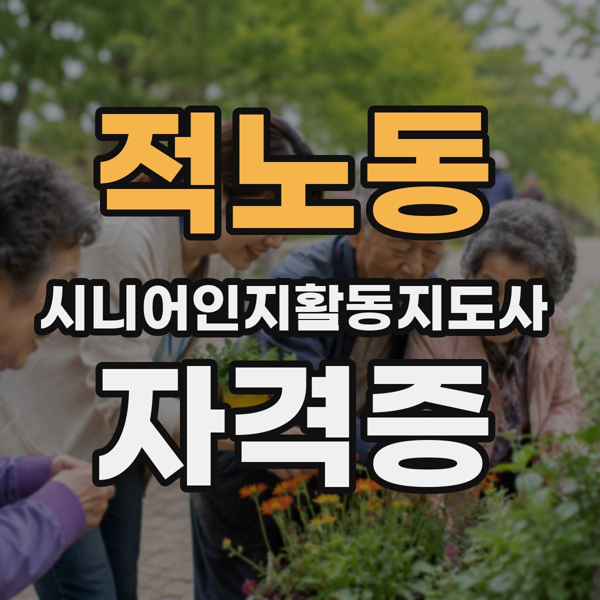 적노동 시니어인지활동지도사 자격증