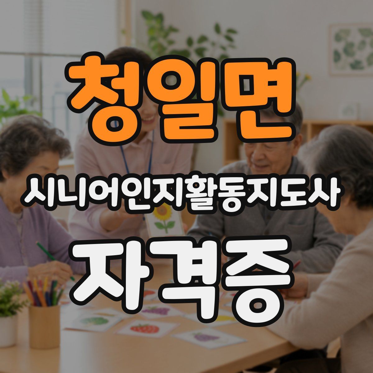 청일면 시니어인지활동지도사 자격증