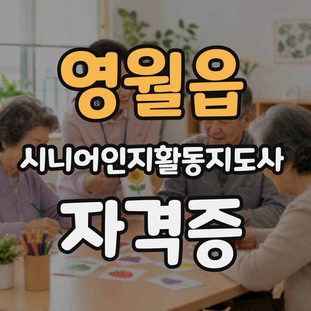 영월읍 시니어인지활동지도사 자격증