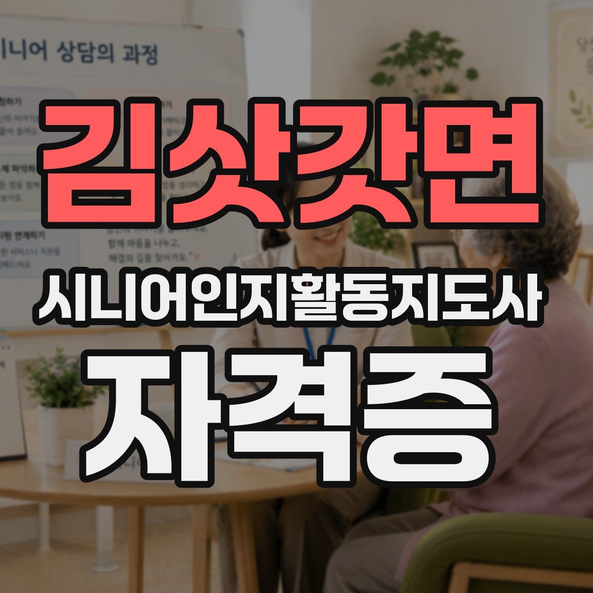 김삿갓면 시니어인지활동지도사 자격증