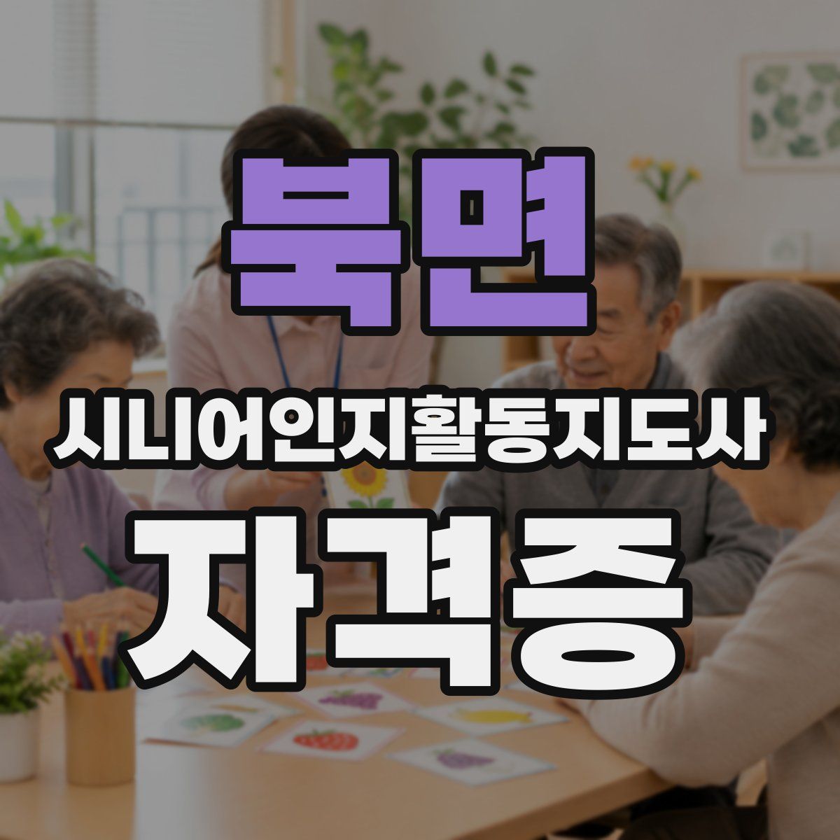 북면 시니어인지활동지도사 자격증