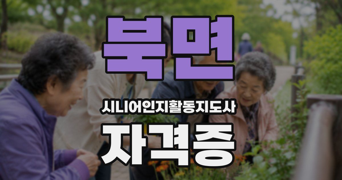 북면 시니어인지활동지도사 자격증