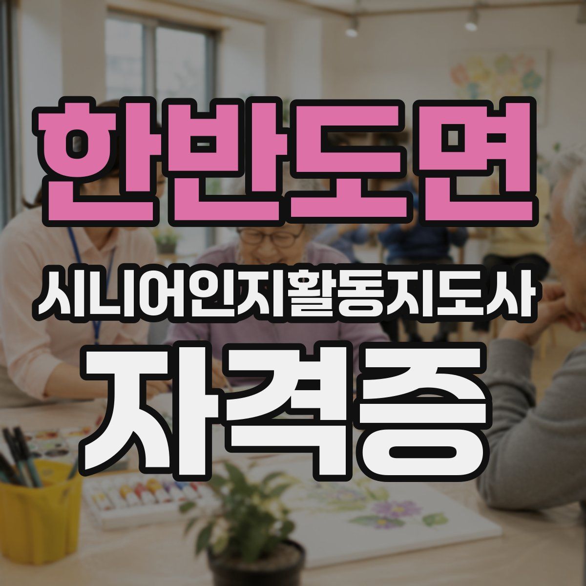 한반도면 시니어인지활동지도사 자격증