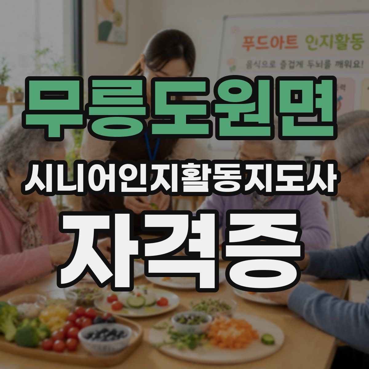 무릉도원면 시니어인지활동지도사 자격증