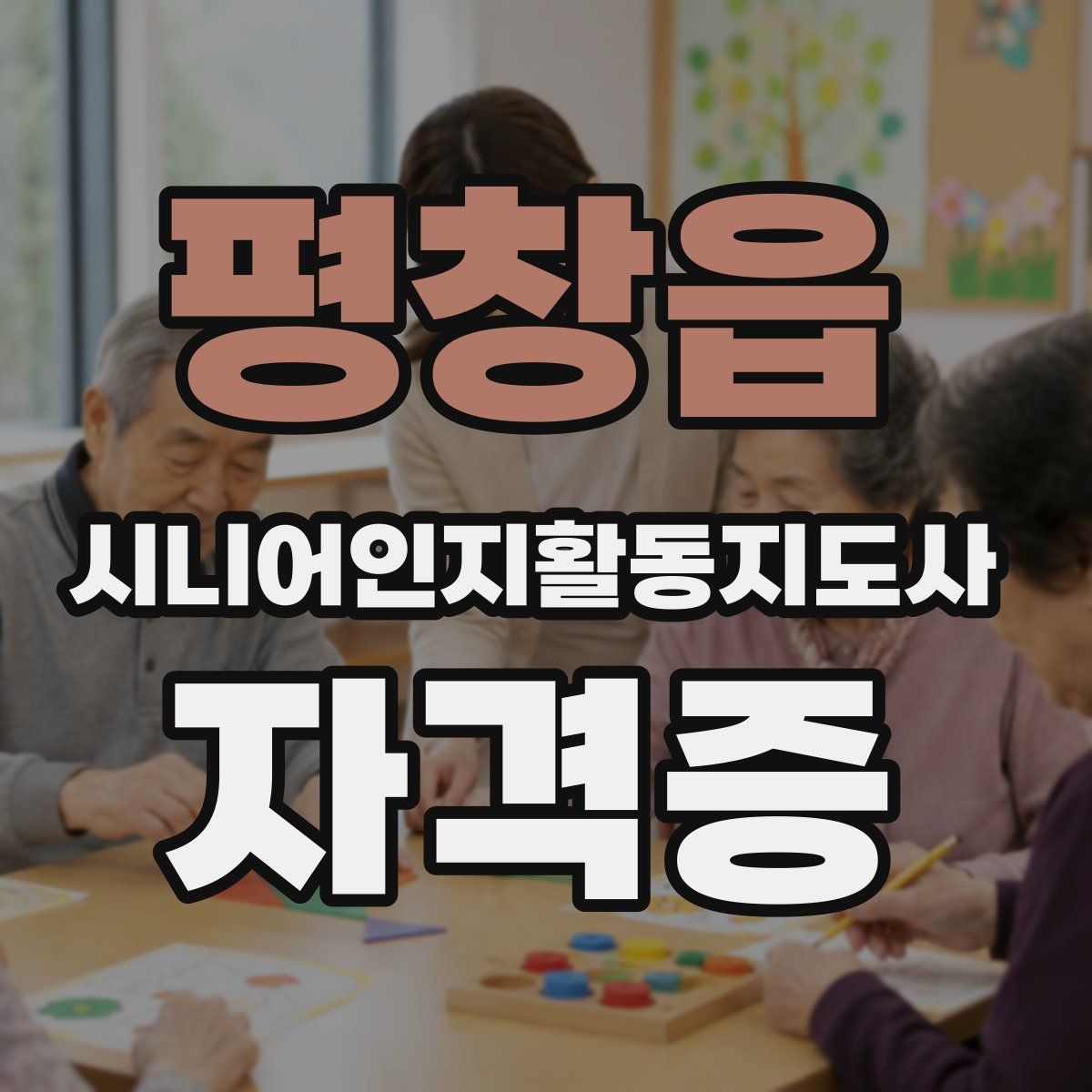 평창읍 시니어인지활동지도사 자격증