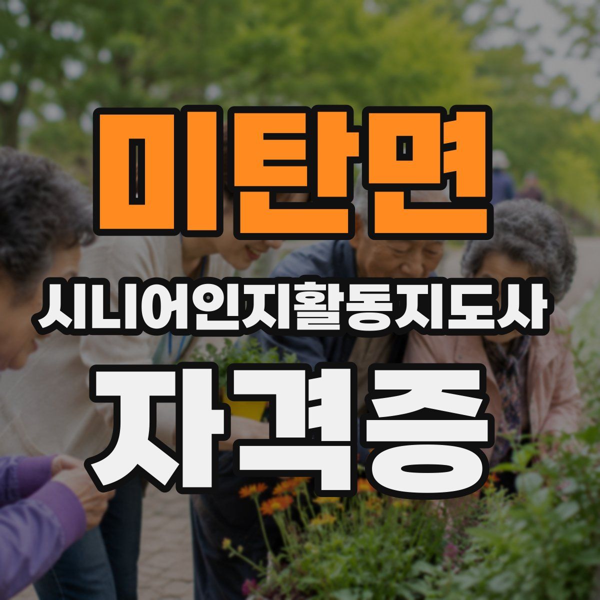 미탄면 시니어인지활동지도사 자격증