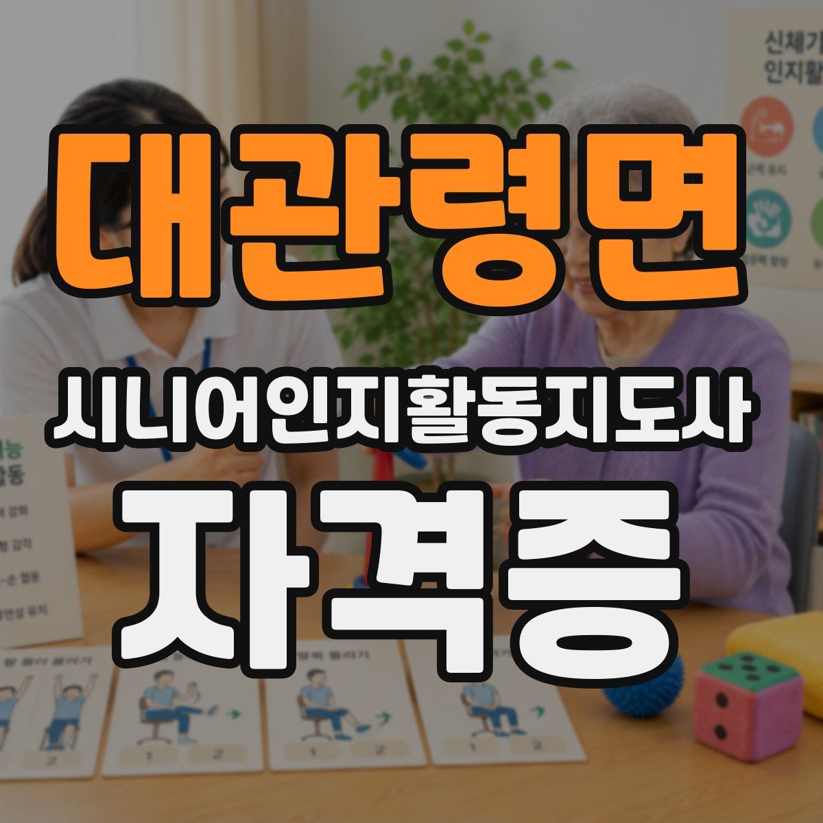 대관령면 시니어인지활동지도사 자격증