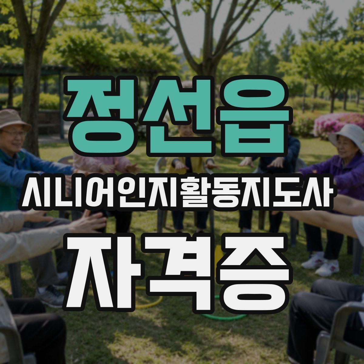 정선읍 시니어인지활동지도사 자격증