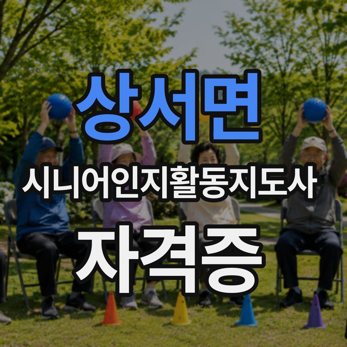 상서면 시니어인지활동지도사 자격증