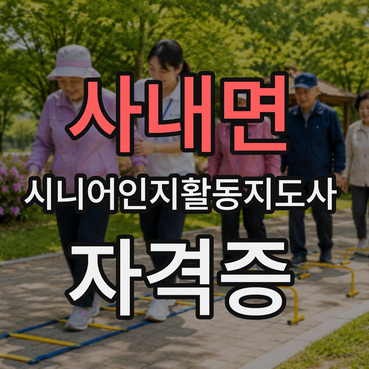 사내면 시니어인지활동지도사 자격증