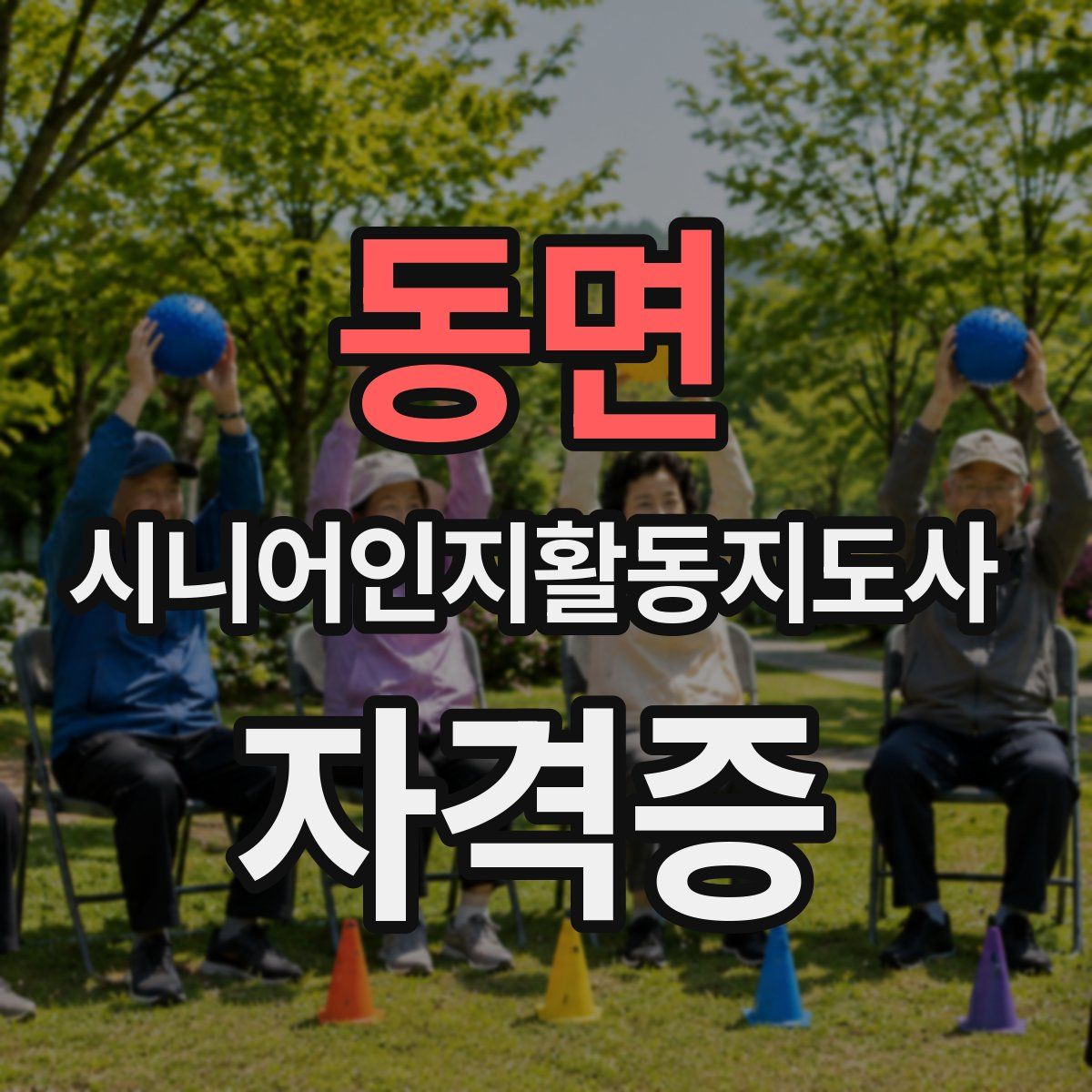 동면 시니어인지활동지도사 자격증