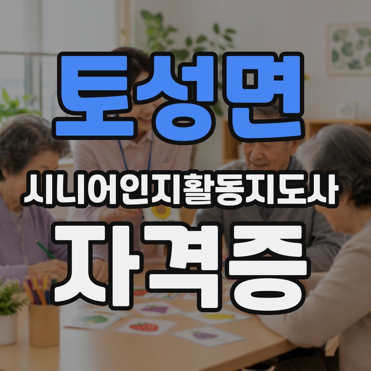 토성면 시니어인지활동지도사 자격증