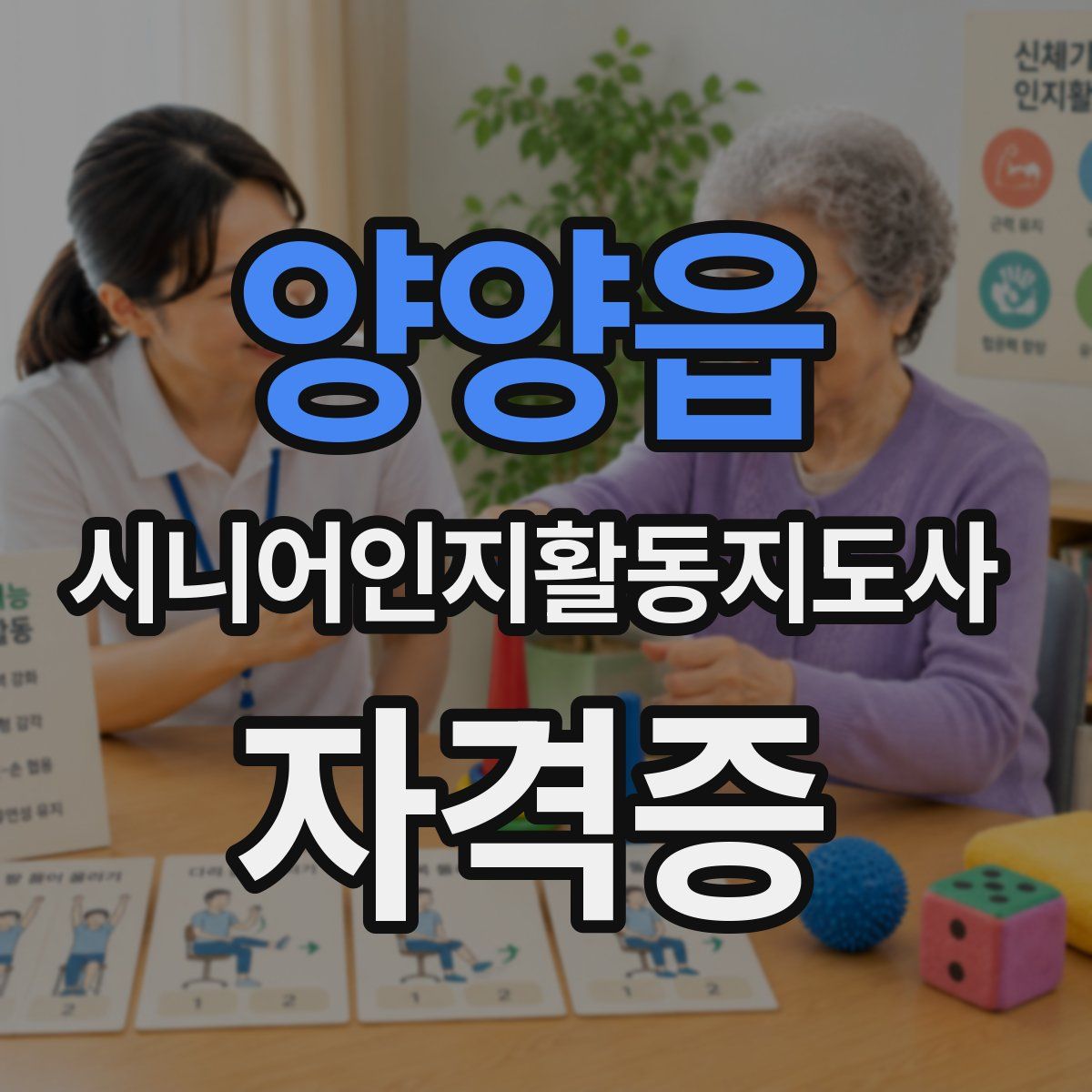 양양읍 시니어인지활동지도사 자격증