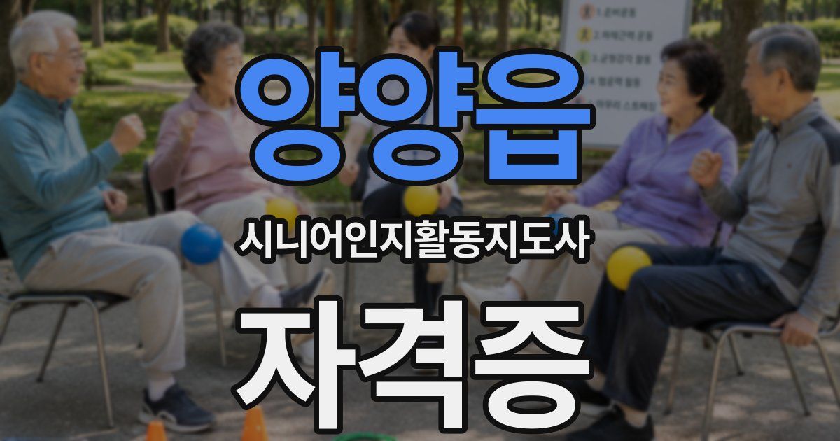 양양읍 시니어인지활동지도사 자격증