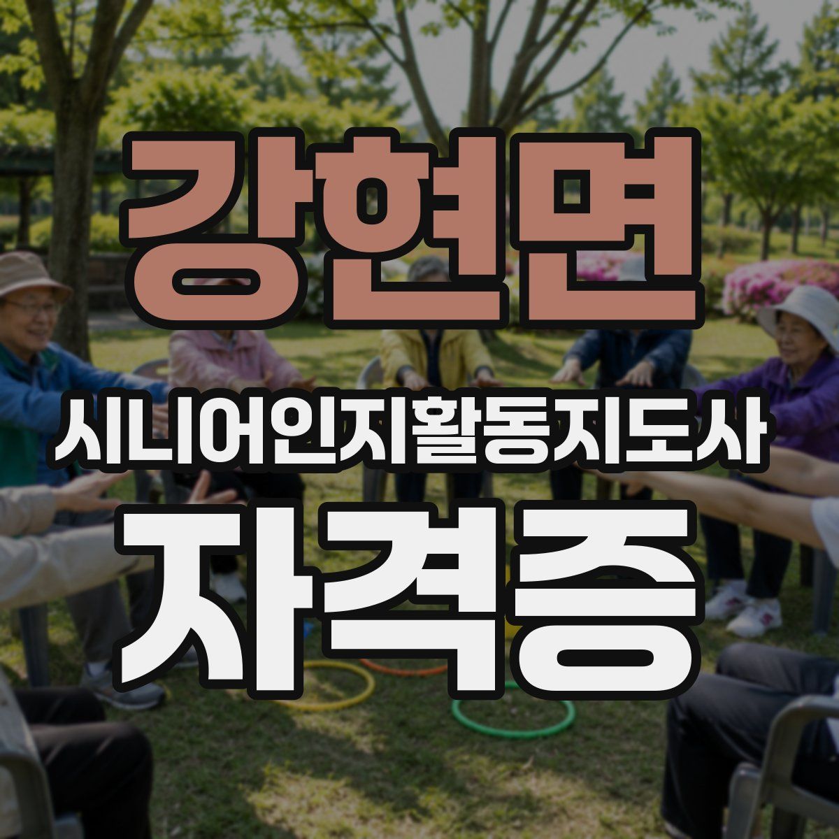 강현면 시니어인지활동지도사 자격증