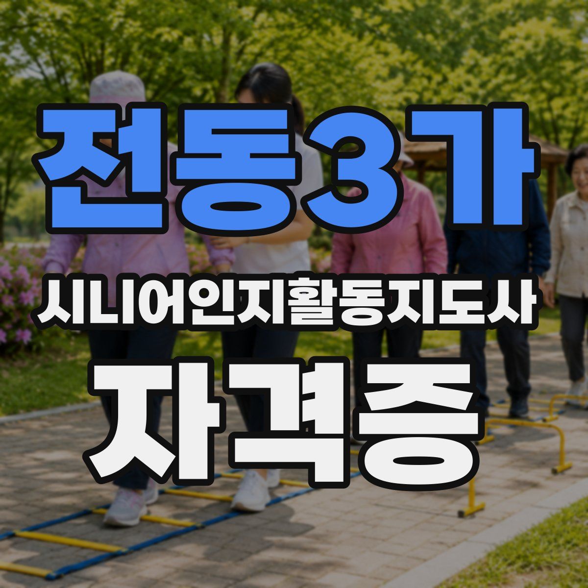 전동3가 시니어인지활동지도사 자격증