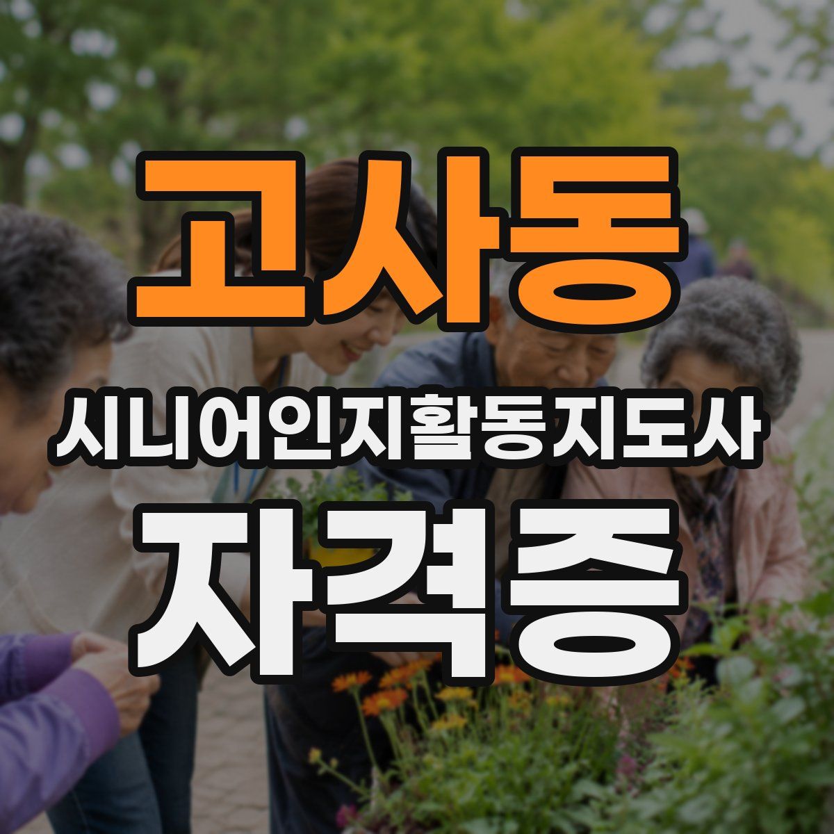 고사동 시니어인지활동지도사 자격증