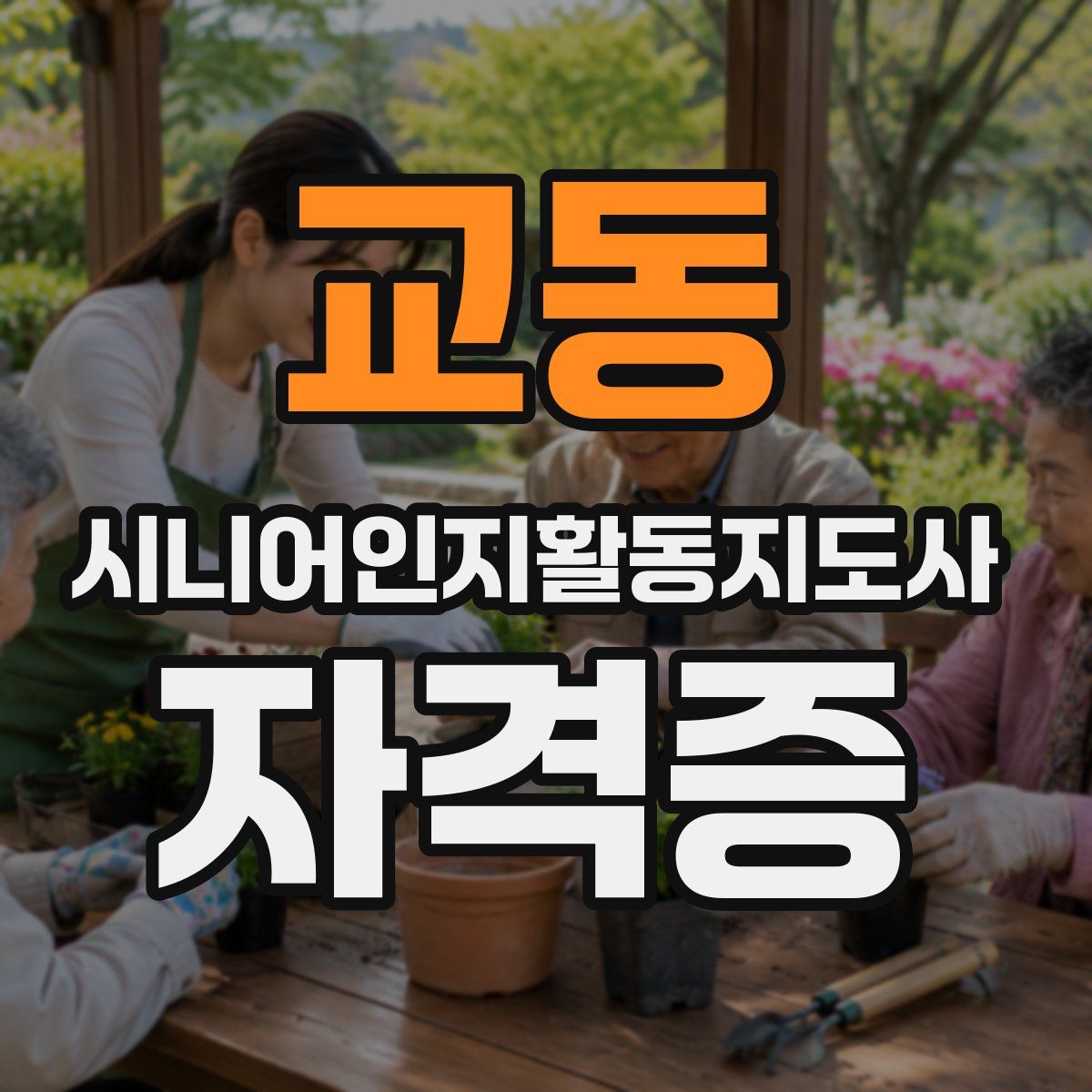 교동 시니어인지활동지도사 자격증