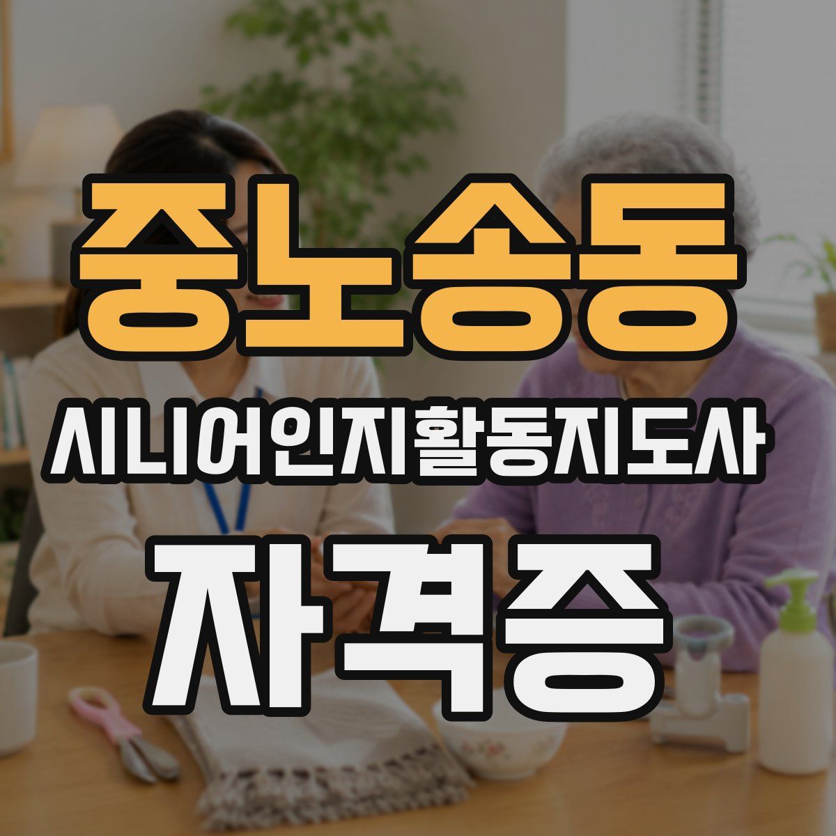 중노송동 시니어인지활동지도사 자격증