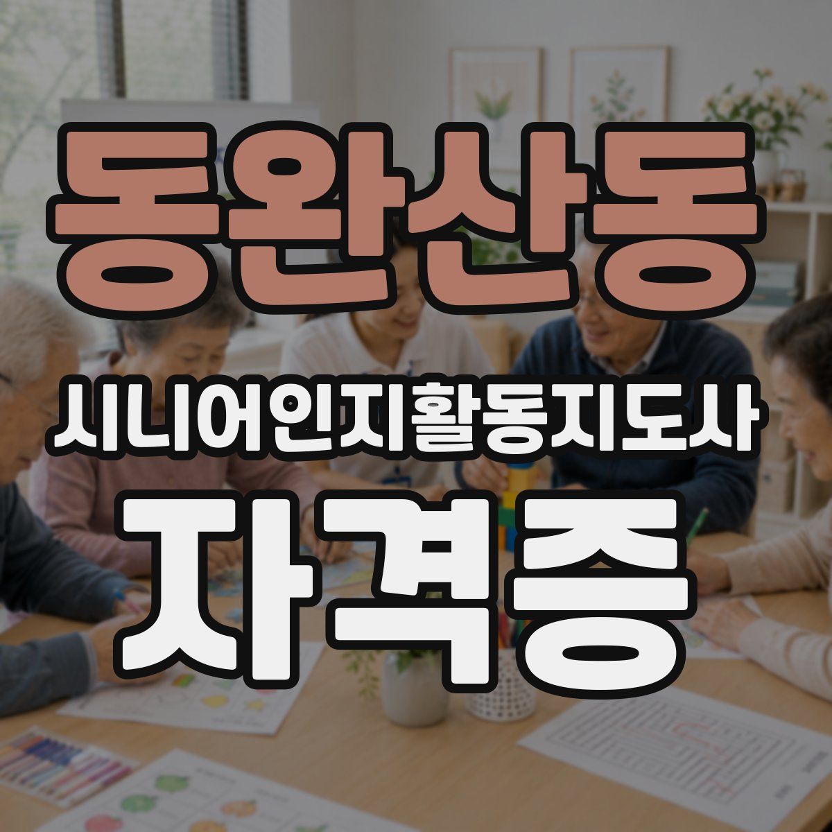 동완산동 시니어인지활동지도사 자격증