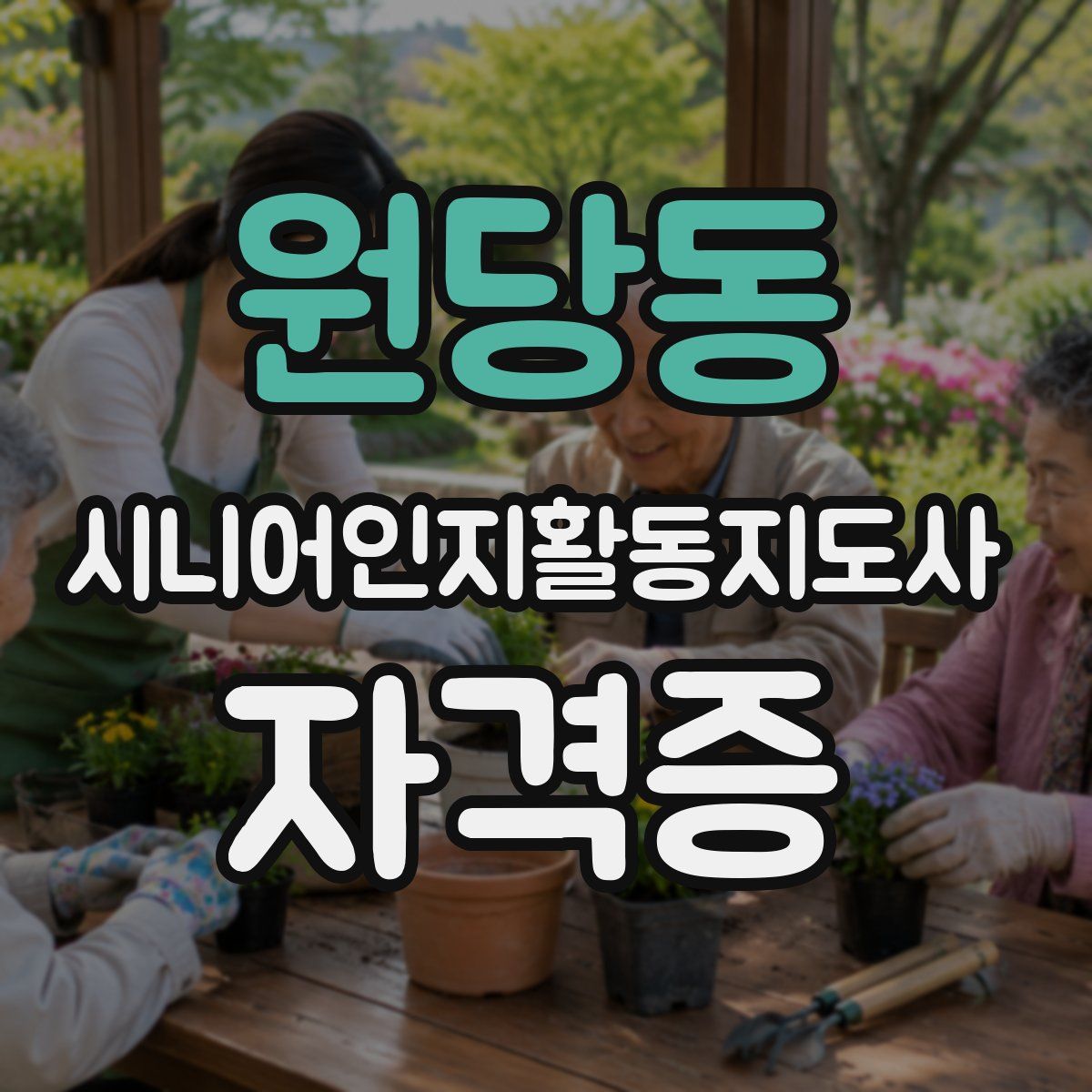 원당동 시니어인지활동지도사 자격증