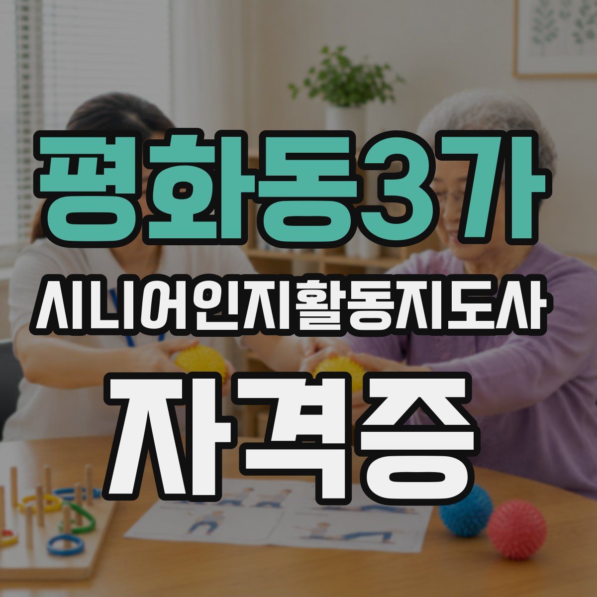 평화동3가 시니어인지활동지도사 자격증