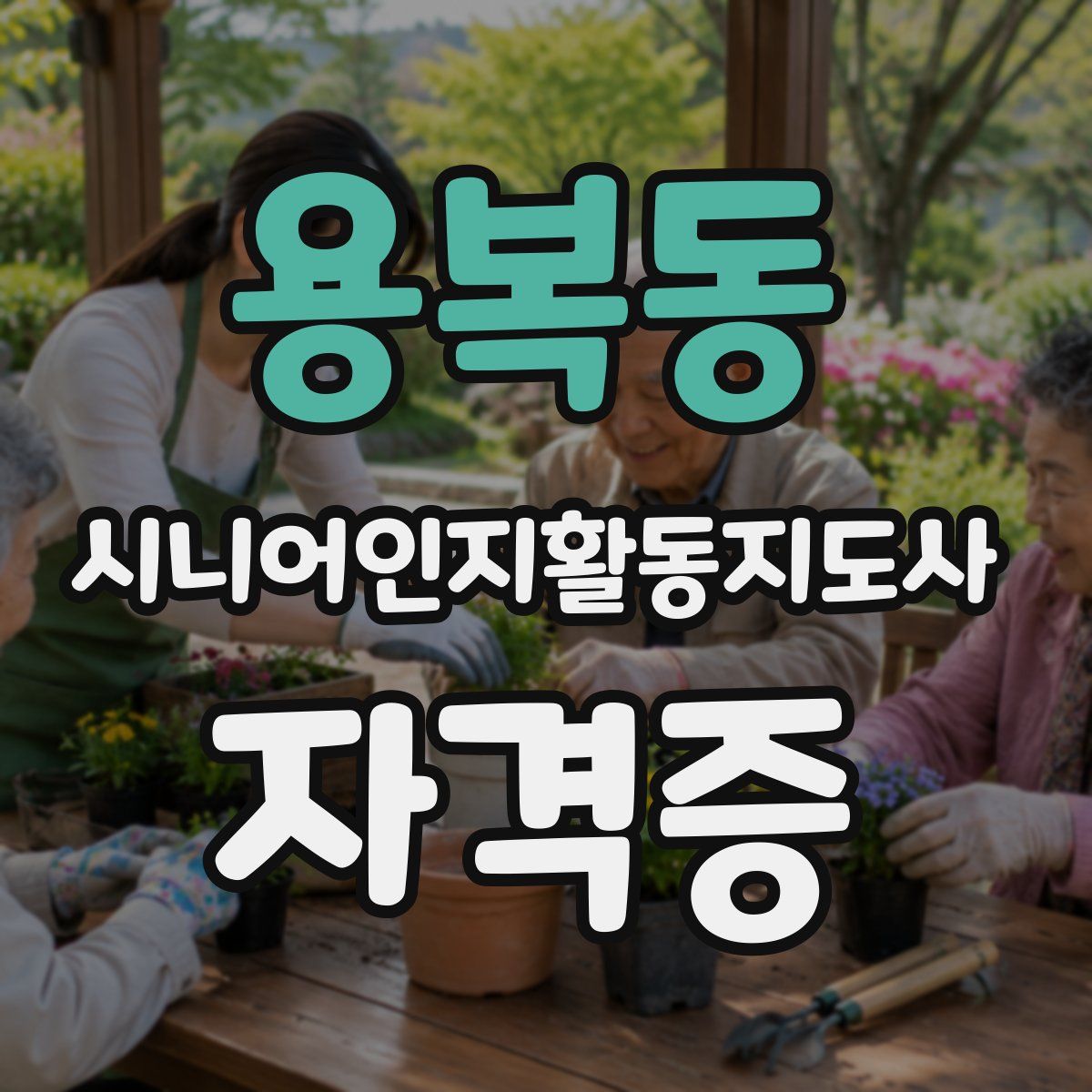 용복동 시니어인지활동지도사 자격증