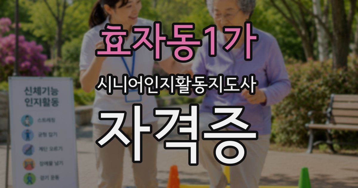 효자동1가 시니어인지활동지도사 자격증